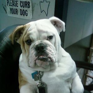 Meet your Posher, Jack